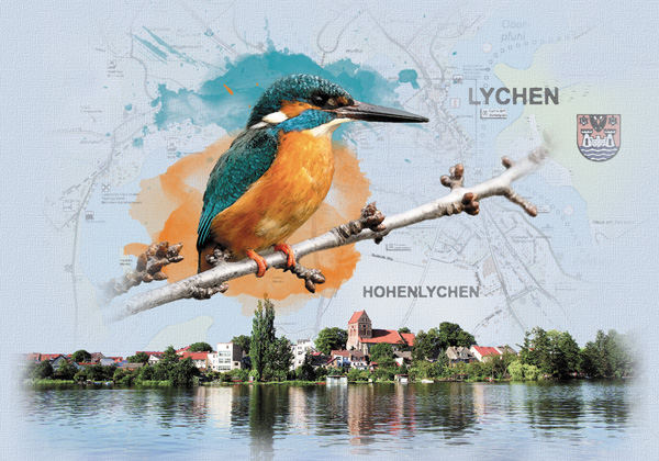 lychen